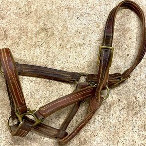 Old Leather Halter